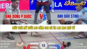 Trận 12 Bồ Xà Xía 1/1/2026