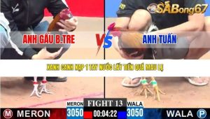 Trận 13 Bồ CPC3 23/1/2026