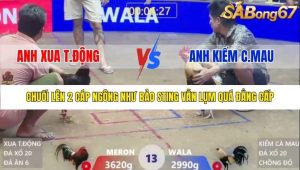 Trận 13 Bồ Xà Xía 21/1/2026