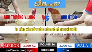 Trận 14 Bồ Tonhon 16/1/2026