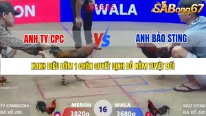 Trận 16 Bồ Xà Xía 1/1/2026