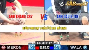 Trận 17 Bồ CPC3 23/1/2026