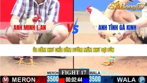 Trận 17 Bồ CPC3 29/1/2026