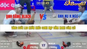 Trận 17 Bồ Xà Xía 1/1/2026