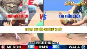 Trận 18 Bồ CPC3 29/1/2026