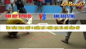 Trận 18 Bồ Thường Phước 17/1/2026