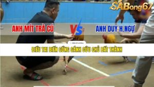 Trận 19 Bồ Thường Phước 17/1/2026