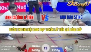 Trận 19 Bồ Xà Xía 1/1/2026