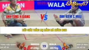 Trận 19 Bồ Xà Xía 26/1/2026