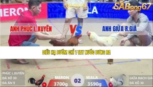 Trận 2 Bồ Xà Xía 30/1/2026