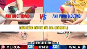 Trận 20 Bồ CPC3 18/1/2026