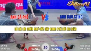 Trận 20 Bồ Xà Xía 1/1/2026