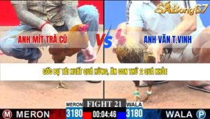 Trận 21 Bồ CPC3 29/1/2026