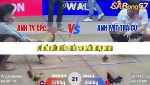 Trận 21 Bồ Xà Xía 1/1/2026