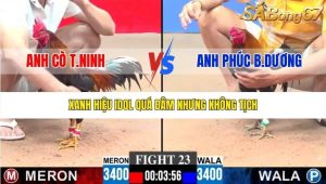 Trận 23 Bồ CPC3 18/1/2026