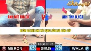 Trận 23 Bồ CPC3 29/1/2026