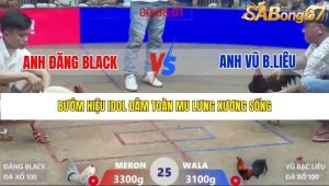 Trận 25 Bồ Xà Xía 1/1/2026