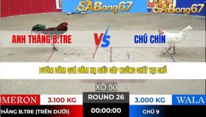 Trận 26 Bồ Tonhon 24/1/2026