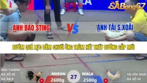 Trận 27 Bồ Xà Xía 1/1/2026