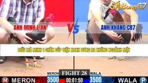 Trận 28 Bồ CPC3 29/1/2026