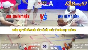 Trận 3 Bồ Xà Xía 30/1/2026