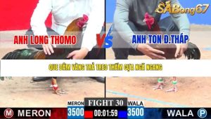 Trận 30 Bồ CPC3 23/1/2026