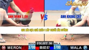 Trận 30 Bồ CPC3 27/1/2026