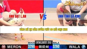 Trận 31 Bồ CPC3 29/1/2026