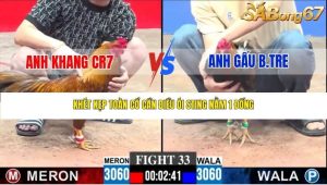 Trận 33 Bồ CPC3 23/1/2026