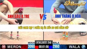 Trận 34 Bồ CPC3 23/1/2026