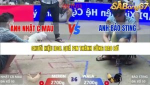 Trận 36 Bồ Xà Xía 1/1/2026