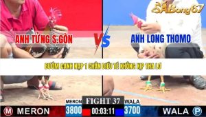 Trận 37 Bồ CPC3 23/1/2026