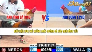 Trận 37 Bồ CPC3 29/1/2026