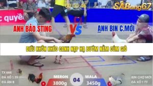 Trận 4 Bồ Xà Xía 1/1/2026