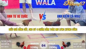 Trận 4 Bồ Xà Xía 27/1/2026