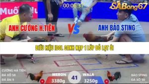 Trận 41 Bồ Xà Xía 1/1/2026