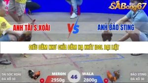 Trận 46 Bồ Xà Xía 1/1/2026