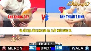 Trận 5 Bồ CPC3 27/1/2026