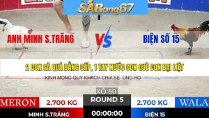 Trận 5 Bồ Tonhon 21/1/2026
