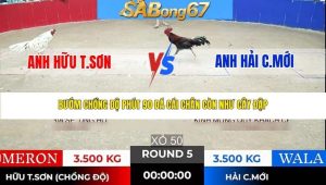 Trận 5 Bồ Tonhon 24/1/2026