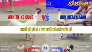 Trận 5 Bồ Xà Xía 21/1/2026