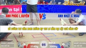 Trận 5 Bồ Xà Xía 28/1/2026