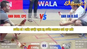 Trận 5 Bồ Xà Xía 29/1/2026