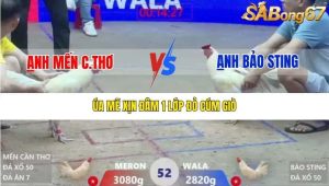 Trận 52 Bồ Xà Xía 1/1/2026