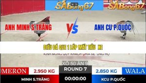 Trận 7 Bồ Tonhon 21/1/2026