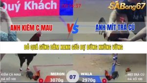 Trận 7 Bồ Xà Xía 1/1/2026