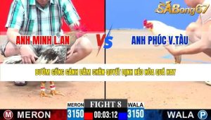 Trận 8 Bồ CPC3 25/1/2026