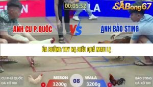 Trận 8 Bồ Xà Xía 1/1/2026