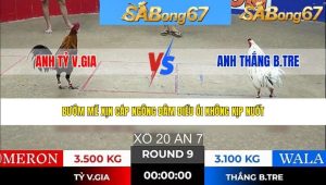 Trận 9 Bồ Tonhon 25/1/2026