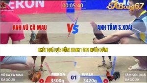 Trận13 Bồ Xà Xía 31/1/2026